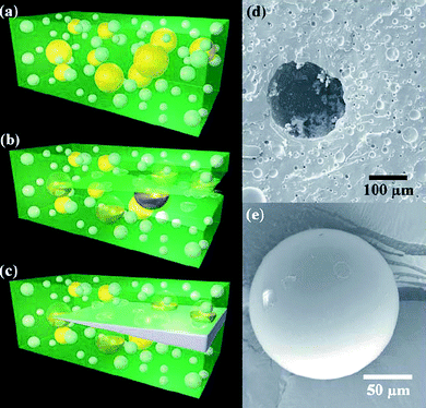 a–c) Cartoons representing the self-healing composite consisting of microencapsulated catalyst (yellow) and phase-separated healing-agent droplets (white) dispersed in a matrix (green); a crack propagating into the matrix releases catalyst and healing agent into the crack plane, with consequent crack filling. d) Scanning electron microscopy images of the fracture surface of such a polymer, showing an empty microcapsule and voids left by the phase-separated healing agent. e) A representative integer microcapsule. Reproduced with permission from ref. 80. Copyright (2006) Wiley-VCH.