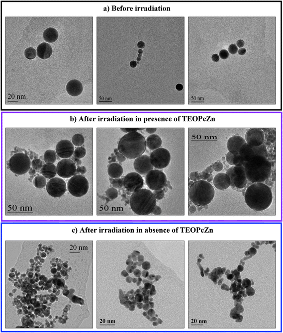 Representative TEM images of AuNPs before (a) and after irradiation with 350 laser pulses at 532 nm (1100 mJ cm−2) in the presence (b) and in the absence (c) of TEOPcZn. From ref. 124.