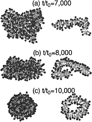 Snapshots of vesicle formation at three increasing times for a cluster composed of amphiphilic molecules, obtained by Brownian dynamics simulation. The left column shows the outer appearance of the micelle, while the right column shows a central slice of the same micelle. Reproduced with permission from ref. 13. Copyright (2001) The American Physical Society.