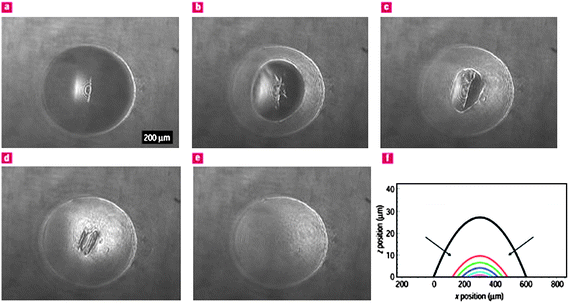 a–e) Self healing of the polyelectrolyte–gold nanoparticle composite membrane after the application of an external pressure of 4 kPa, as shown by snapshots taken every 2 s after pressure release. f) The relative membrane cross-sections obtained every second with arrows showing the direction of the recovery of the central portion. Reproduced with permission from ref. 36. Copyright (2004) Nature Publishing Group.