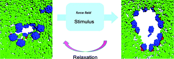 Janus nanoparticles (in blue) in a bilayer phospholipid membrane (in green) can originate pores with the ability of reversible opening by external stimuli. Reproduced with permission from ref. 43. Copyright (2008) American Chemical Society.