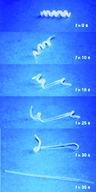 Transition from the temporary shape (spiral) to the memorized shape (linear rod) in a (ε-caprolactone) dimethacrylate-butylacrylate copolymer with transition temperature of 46 °C. Reproduced with permission from ref. 46. Copyright (2002) Wiley-VCH.