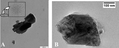 
          TEM images at different resolution of as-prepared LiMnPO4. In the insert, an enlargement of the nanoparticle in the background is shown.