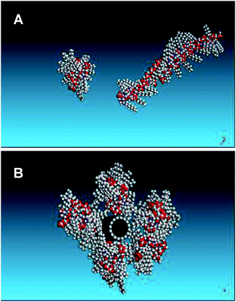 (A) Two views of an energy minimised NOSC chain, (B) Five polymer molecules optimised around a nanotube.