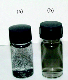 Photographs of the SWCNTs dispersions: (a) Pristine SWCNTs in distilled water after 2 h of sonication, (b) NOSC–SWCNTs (0.5 mg/mL) after 2 h of sonication and centrifugation at 6000 rpm for 3 min.