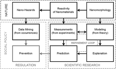 Schematic representation of the multi-disciplinary landscape that is navigated by those working on various aspects of (potential) nano-hazards, showing three ‘domains’ of Nature, Scientific Research, and Social Policy and Regulation.