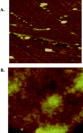 (A) AFM image of SWNT film with a spin-coated PEDOT:PSS overlayer. The rms roughness is 4 nm from the AFM image. (B) AFM image of SWNT film with a spin-coated PEDOT:PSS-methanol (1 : 2) overlayer. The rms roughness is 0.96 nm from the AFM image. Reproduced with permission from ref. 87. Copyright 2006 American Chemical Society.