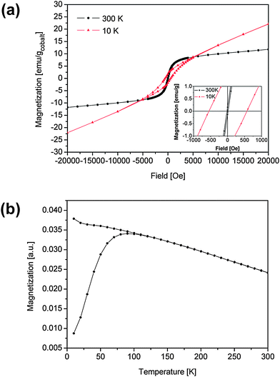 (a) Hysteresis loop of precipitated cobalt nanoparticles at temperatures of 10 K and 300 K (inset: hysteresis near zero field); (b) magnetization of precipitated cobalt nanoparticles after ZFC and FC in an external field of 400 Oe.