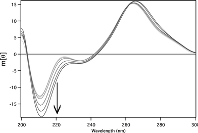 
          CD titrations for neomycin B binding to the TAR construct. Lightest shade is the lowest concentration of aminoglycoside and darkest is the highest. The arrow shows the increasing intensity of the band at 213 nm with increasing aminoglycoside concentration. Conditions: 200 µM TAR, 0–190 µM neomycin B, 10 mM MOPS (pH 6.5 @ 21 °C), 100 mM NaCl, 21 °C.