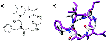 (a) Structure of macrocyclic peptomer 10, a mimic of AIP-I, reported by Fowler et al. (b) Overlaid computed models of the macrocyclic portion of AIP-I (magenta) and peptomer 10 (colored by atom type). Molecular mechanics performed in MOE (v. 2006.08).55