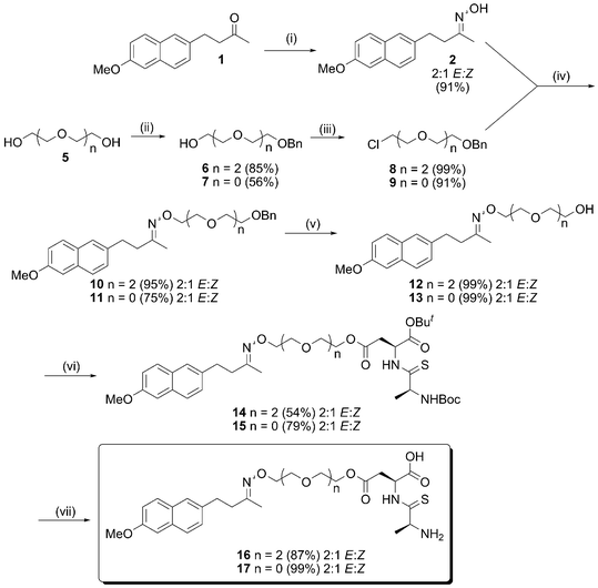Synthesis of hydroxyimine prodrug linked to PepT1 carrier. (i) NH2OH.HCl, EtOH, rt, 72 h, then 4 M NaOH. (ii) n = 0 Ethylene glycol, NaH, KI, BnBr, 48 h. n = 2 Triethylene glycol, Ag2O, BnBr, 72 h. (iii) SOCl2, cat. pyridine, 65 °C, 4 h. (iv) KI, KOBut, DMF, rt, 24–30 h. (v) H2, 5% Pd(OH)2-C, EtOH, rt, 2 h. (vi) 23, HBTU, DIPEA, rt, 2–5 days. (vii) TFA, DCM, rt, 5 h.
