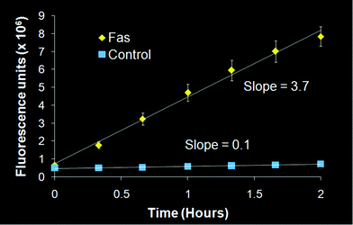 Fluorometric caspase-3 enzymatic assay. Liver protein samples (200 μg) were loaded into each well of a 96-well plate in triplicate. Error bars indicate the standard deviation; error bars that are not visible are within the data point.