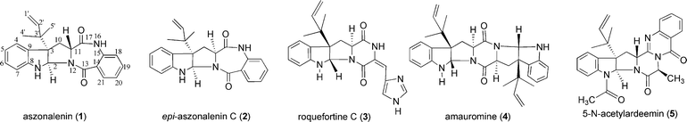 Examples of C3-prenylated indole derivatives from fungi.