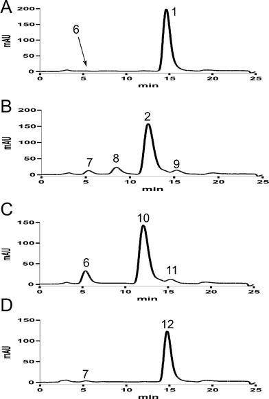 
          HPLC analysis of enzymatic reaction mixtures of 6 with AnaPT (A), 7 with AnaPT (B), 6 with CdpNPT (C), and 7 with CdpNPT (D).