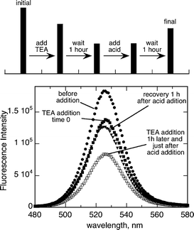 Steady state fluorescence spectra (λmax 380 nm) of 1.2 μM of green CdSe Q-dots in toluene after the addition of TEA (time 0 and 1 h) and the effect of p-toluensulfonic acid (time 0 and 1 h). The bar graph at the top shows the evolution of the experiment and the intensity at the corresponding maxima.