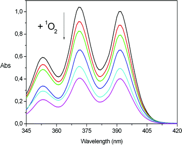 Representative kinetic experiment. Bleaching of the absorption bands of DPA (4 × 10−5 M initially, in MeOH) when irradiated using Pm-RB (6.65 mg ml−1) as a photosensitizer. The spectra correspond to the following irradiation times (from top to bottom): 0, 5, 10, 15, 20 and 25 min.