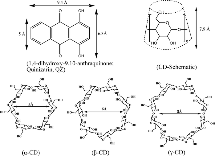 Chemical structures of QZ and α-, β- and γ-cyclodextrins. A schematic presentation of the truncated cone shape of the CDs is also shown.