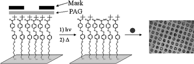 The irradiation of an azobenzene self-assembled monolayer containing tert-butyl ester end-groups through a photomask results in a micropattern of carboxylic acids at the air–monolayer interface. Amine-coated PS microsphere particles selectively adsorb to the acid portions of the pattern as shown in the optical microscope image.16