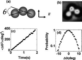 (a) Colloidal trimers can be discriminated by the bending angle (θ) defined in this panel. (b) Experimental example of an isomer with θ = 85°. (c) Raw data illustrated: mean-squared angular displacement is plotted against time for a linear trimer. The slope of the line defines the rotational diffusion coefficient. (d) More raw data illustrated, for the same system as for panel (c). The histogram of rotation is plotted versus the amount of rotation for an observation time of 30 ms. The distribution follows a Gaussian function (line through the data) and the breadth of the distribution implies the rotational diffusion coefficient.