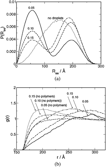 (a) Polymer end-to-end separation probability distribution P(Ree) and (b) droplet–droplet radial distribution function g(r) for systems containing chains of type III at droplet radius Rd = 80 Å and indicated droplet volume fractions ϕ. The corresponding distribution for droplet-free polymer solution is given in (a) and for polymer-free droplet solutions in (b).