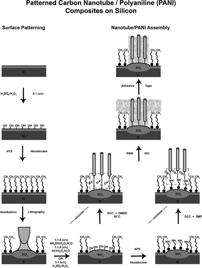 Patterned Polyaniline & Carbon Nanotube–polyaniline Composites On ...