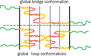 A schematic representation of a global bridge (top) and a global loop (bottom) conformation for a C–b–(B–b–A)4–b–B–b–C multiblock copolymer. A-, B- and C-blocks are denoted by red, yellow and green, respectively. In the illustration m = 4 and k = 5.