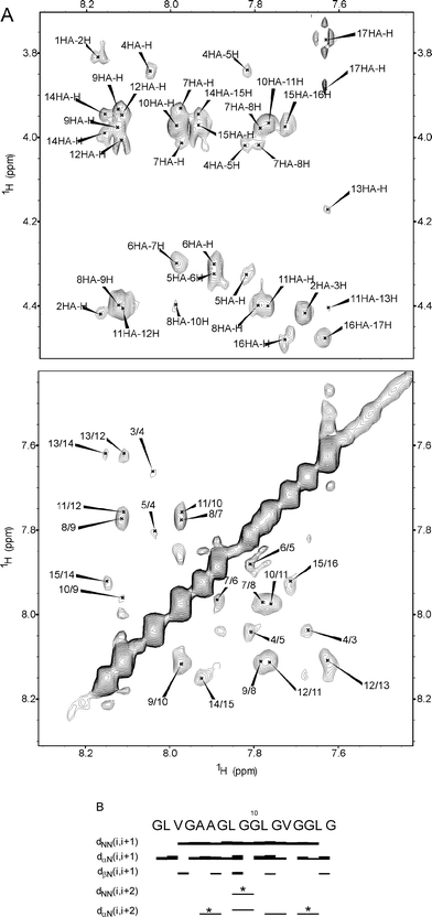 The fingerprint region and the amide region of the NOESY spectra of EX30Npeptide recorded in TFE-d3–H2O (80 : 20) 289 K. (A). Summary of the NMR sequential and medium range NOEs. The NOE intensities are reflected by the thickness of the line. * refers to overlapped peaks (B).