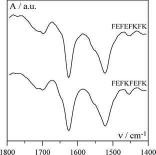 Typical FTIR spectra obtained for phenylalanine based peptide solutions (40 mg ml−1) prepared in pure D2O.