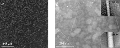 (a) AFM micrograph of a freshly prepared AEAKAEAK solution (0.025 mg ml−1) dried on a negatively charged mica sheet and (b) TEM micrograph of a freshly prepared AEAEAKAK solution (2 mg ml−1) dried on a discharged carbon-coated copper grid. (Inset: high magnification image of single fibre.)