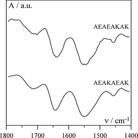 Typical FTIR spectra obtained for alanine based peptide solutions (40 mg ml−1) prepared in pure D2O.