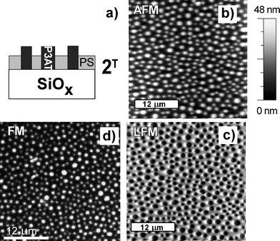 Schematic sectional view (a) of the lateral structure 2T with an elevated P3BT-rich phase for PS/P3BT blend films spin cast from cyclohexanone onto an oxidized Si substrate. The structure 2T is determined based on AFM (b), LFM (c) and FM (d) images and dSIMS profiles (not shown).
