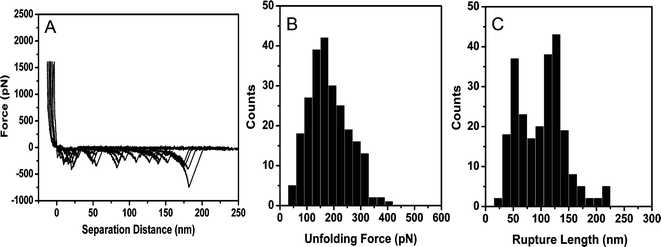 (A) Representative curves of the retraction portion of AFM force–distance curves, recorded between the AFM tip and the adsorbed β-LG layer under imidazole buffer at pH = 6.8, showing a sawtooth pattern corresponding to the mechanical unfolding of single β-LG molecules. (B) Histogram of rupture forces measured from hundreds of force–distance curves showing a mean rupture force of 180 pN. (C) Histogram of rupture length showing two peaks at ∼60 nm and ∼120 nm.