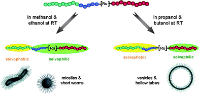 Schematic representation of the soluble blocks of the triblock copolymer in different solvents.
