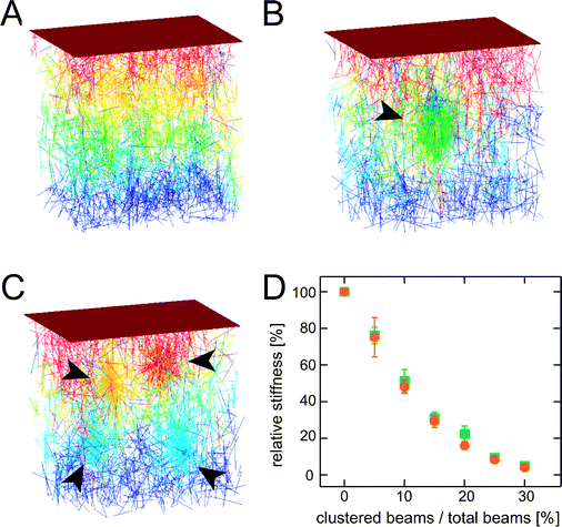 Finite element simulations of cross-linked bundle networks with increasing degree of heterogeneity: (A) homogeneous network, while 25% of the material is redistributed into one central cluster (B) or four distinct clusters (C). The corresponding network stiffnesses are normalized by the stiffness of the homogeneous network as depicted in (D). The degree of heterogeneity is represented by the ratio of clustered beams to the total number of beams. Circles denote networks with one central cluster, squares denote networks containing four distinct clusters. The total beam density is kept constant throughout all simulations.