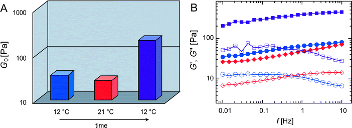 (A) Plateau modulus G0 of R = 0.5 networks at different temperatures: After polymerization at 12 °C (blue) a heating step up to 21 °C (red) followed by re-cooling to 12 °C (purple) was applied. (B) The frequency spectra corresponding to the plateau moduli shown in (A) are compared directly after polymerization at 12 °C (blue circles), after heating to 21 °C (red diamonds) and after re-cooling to 12 °C (purple squares). Closed symbols denote G′, open symbols denote G″.