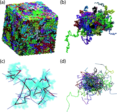 Clockwise starting from top left: representative configuration of a 54-chain, hard sphere system of molecular length N = 1000 in the vicinity of the MRJ state, with coordinates of sphere centers (a) wrapped, subject to three-dimensional periodic boundary conditions and (b) fully unwrapped in space. (c) An arbitrary selected single chain of high knotting complexity (10.153)44 with constituent sites shown as transparent spheres. Also shown is the corresponding primitive path, and segments of other primitive paths with which it is entangled (see also Fig. 7). (d) The underlying primitive path network, after application of the Z1 topological algorithm (see also ref. 35 and Fig. 5), with entanglement coordinates unwrapped in space. Image created using the VMD software.52