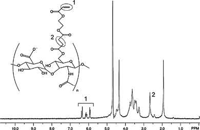 
              1H NMR Spectrum (D2O) of acrylated hyaluronic acid (AHA).