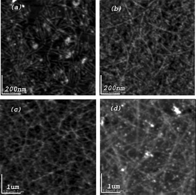 Formation Of Nanotapes By Co Assembly Of Triblock Peptide Copolymers And Polythiophenes In Aqueous Solution Soft Matter Rsc Publishing Doi 10 1039 B821845e