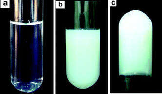 Macroscopic appearance of the isotropic solution to opalescent gel transition at different temperatures: (a) 21 °C; (b) 20 °C; (c) 20 °C upside down.