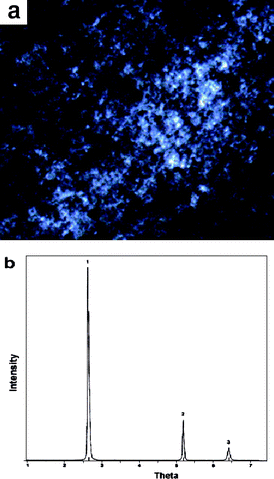(a) Photograph of a 40 mM C16MIMBr and 28 mM NaSal hydrogel through a polarization microscope at 20 °C; (b) XRD spectrum of a xerogel of the C16MIMBr–NaSal system.