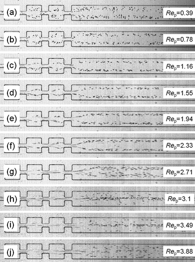 Continuous Focusing Of Microparticles Using Inertial Lift Force And Vorticity Via Multi Orifice Microfluidic Channels Lab On A Chip Rsc Publishing