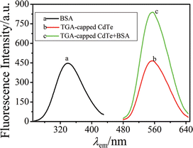 Emission spectra showing the effects of BSA on the fluorescence of QD.