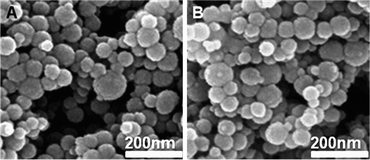 TEM image of (A) TiO2 and (B) AR-TiO2 nanoparticles.