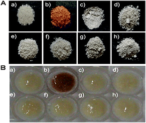 The colorimetric response of (A) dried and (B) H2O suspension samples of AR-SiO2 (5.0 mg) in the (a) absence and the presence of (b) HgCl2 (5.0 equiv), (c) CoCl2 (5.0 equiv), (d) CdCl2 (5.0 equiv), (e) PbCl2 (5.0 equiv), (f) ZnCl2 (5.0 equiv), (g) FeCl3 (5.0 equiv) and (h) CuCl2 (5.0 equiv) at pH = 7.4.