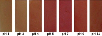 Color changes observed after AR-TiO2 films were dipped in Hg2+ aqueous solution (1.0 mM) at different pH values.