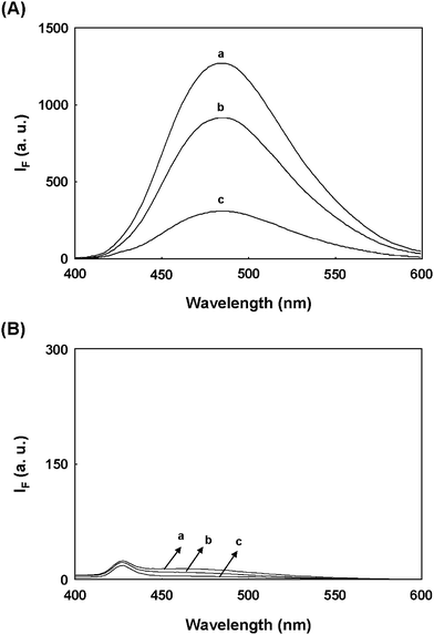 Comparison of fluorescence spectra of OPA/2-ME-derivatized (A) HCys and (B) Cys. The supernatant and precipitate were obtained by the centrifugation of a solution containing 1.0× FSN-AuNPs and 10.0 μM aminothiols. To liberate aminothiols adsorbed on the NP surface, the precipitate was resuspended in a solution of 0.1 M 2-ME. The released aminothiols were isolated from the precipitate by the centrifugation. (a) standard aminothiols, (b) supernatant, and (c) released aminothiols were derivatized with a solution containing 0.1 mM OPA and 0.1 M NaOH for 10 min. FSN-AuNPs were prepared in 40 mM phosphate solution at pH 13.0. The excitation wavelength was set at 370 nm.