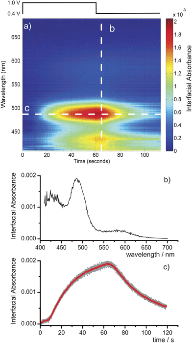 (a) Contour plot of the interfacial absorbance spectrum as a function of time during the electrochemical generation of Ir(iv) in a 100 µm electrochemical cell. Data are recorded with 10 µs accumulation times at 606 Hz. (b) Spectral cut through the contour plot at 65 s, and (c) a temporal cut at 478 nm.