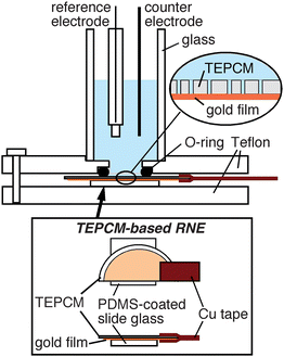 Schematic illustration of the experimental apparatus used for measuring CVs on a TEPCM-based RNE.