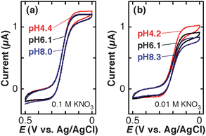 Cyclic voltammograms (scan rate: 0.01 V s−1) of 1.0 mM K3Fe(CN)6 solutions containing (a) 0.1 M KNO3 + 0.01 M KH2PO4–K2HPO4 and (b) 0.01 M KNO3 + 0.01 M KH2PO4–K2HPO4 at three different pH on a TEPCM-based RNE (10 nm in pore diameter). These data were obtained using a RNE different from that gave the data shown in Fig. 2.