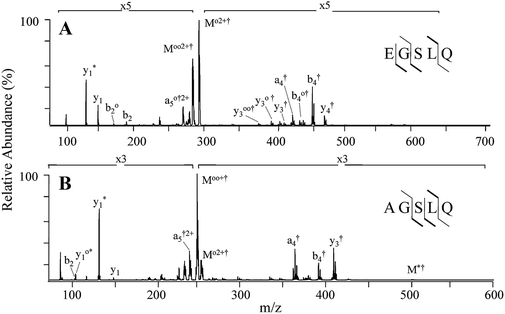 Mass spectrometric characterization and activity of zinc -activated proinsulin  C - peptide and C - peptide mutants - Analyst (RSC Publishing)  DOI:10.1039/B917600D